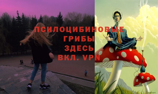 трава Армянск